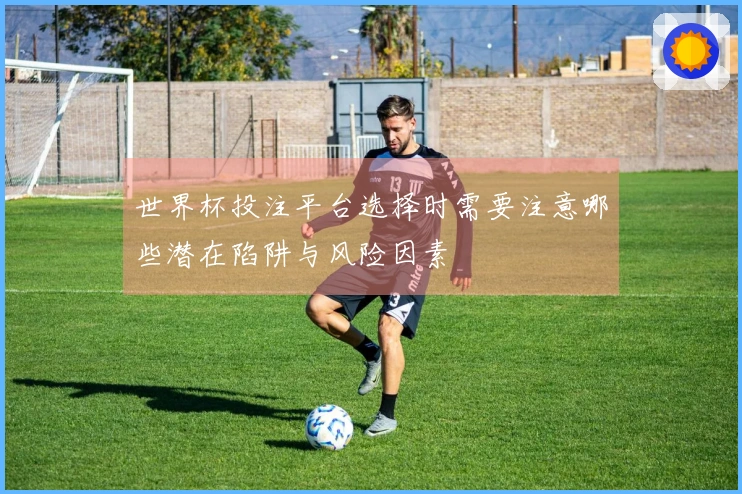 世界杯投注平台选择时需要注意哪些潜在陷阱与风险因素