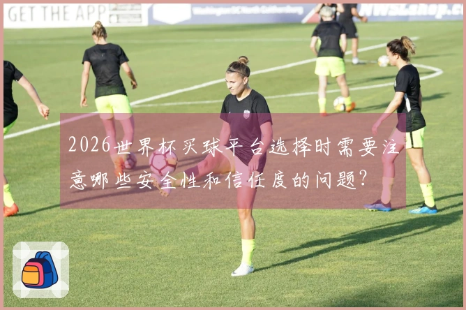 2026世界杯买球平台选择时需要注意哪些安全性和信任度的问题？