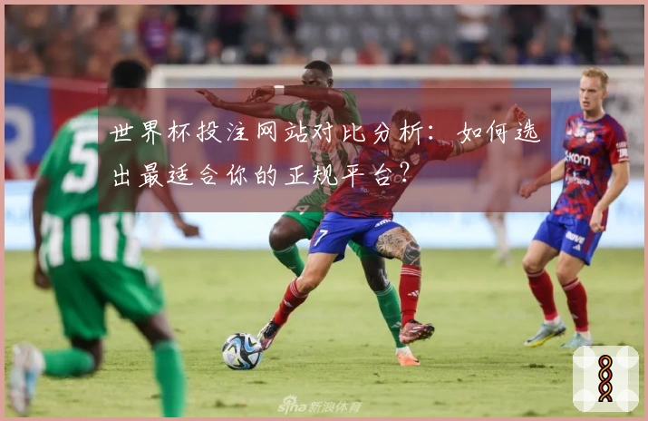 世界杯投注网站对比分析：如何选出最适合你的正规平台？