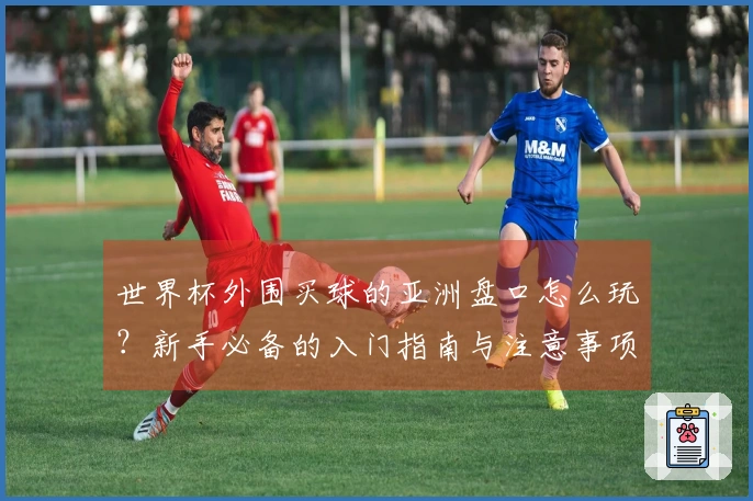 世界杯外围买球的亚洲盘口怎么玩？新手必备的入门指南与注意事项